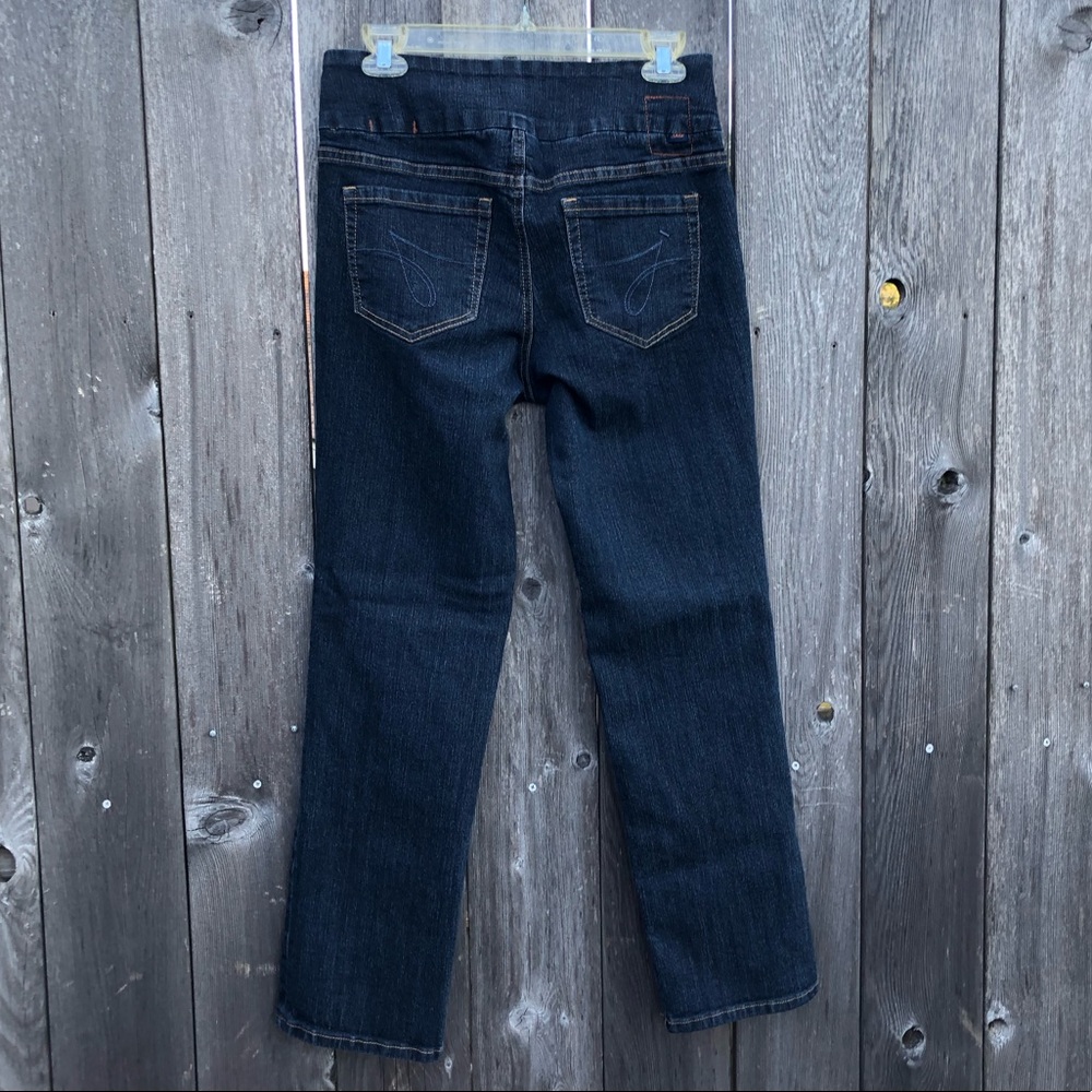 Jag Jeans Pull Up High Rise Straight Leg Sz 10S